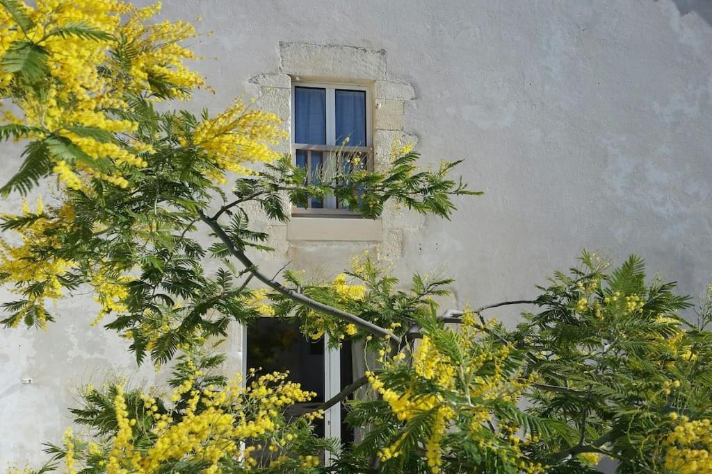 Villa Le Chai Rit à Rivedoux-Plage Extérieur photo
